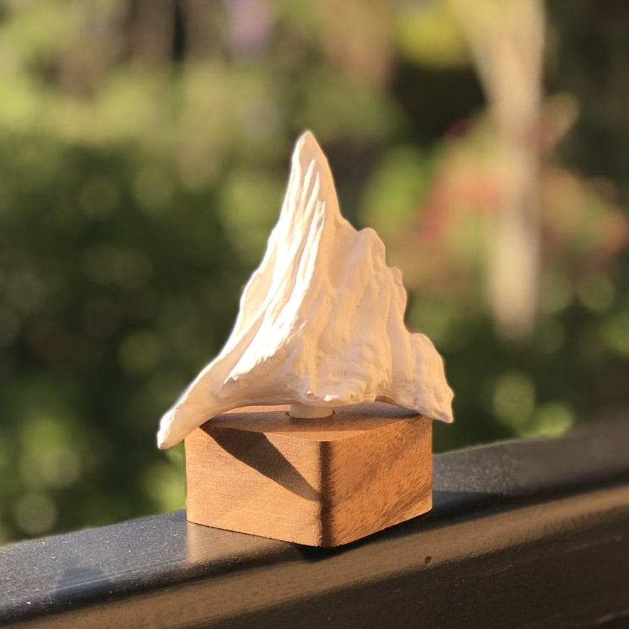 Fuji Sculpture