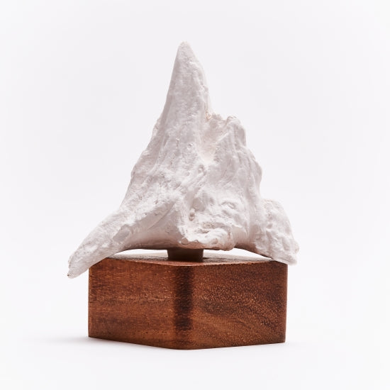 Fuji Sculpture