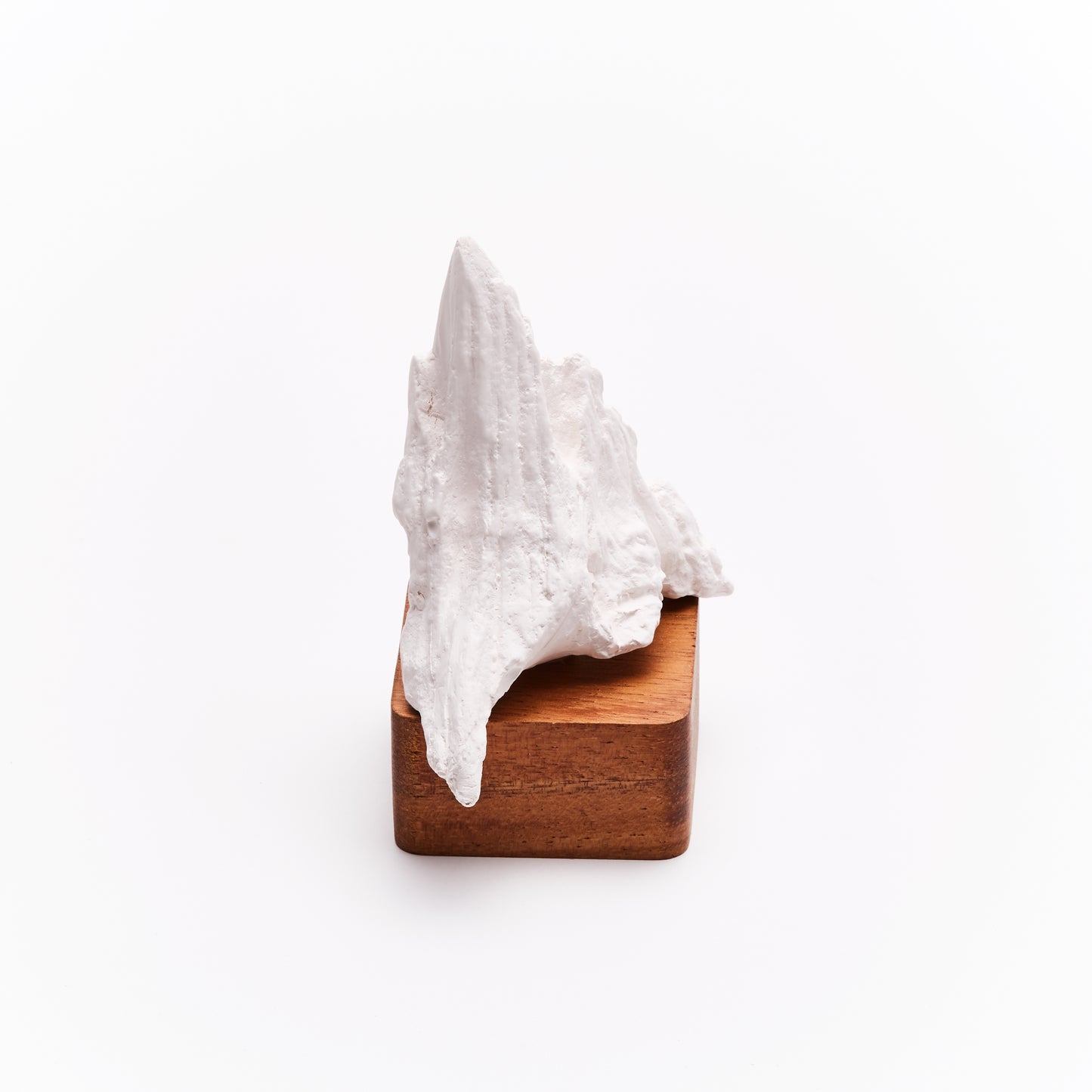 Fuji Sculpture