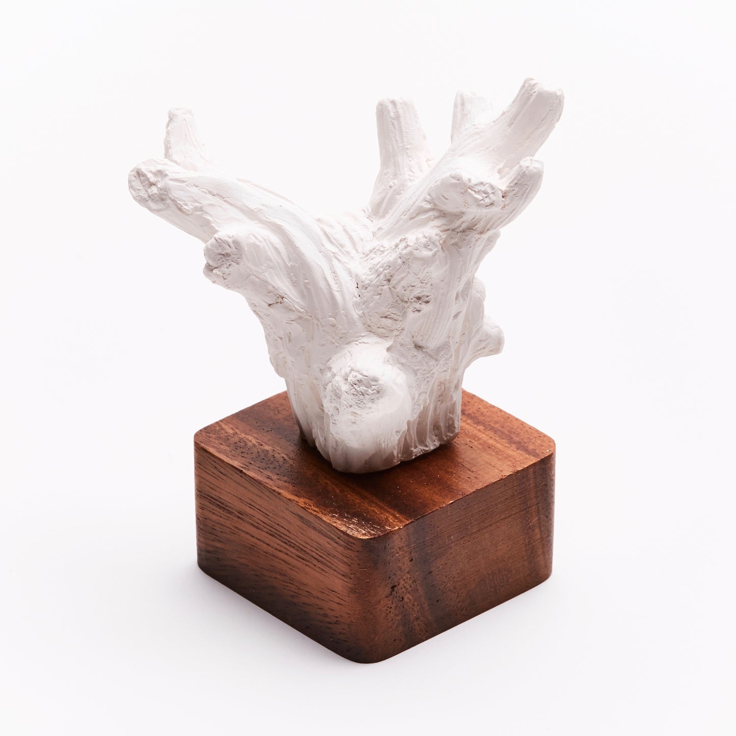 Kino Sculpture