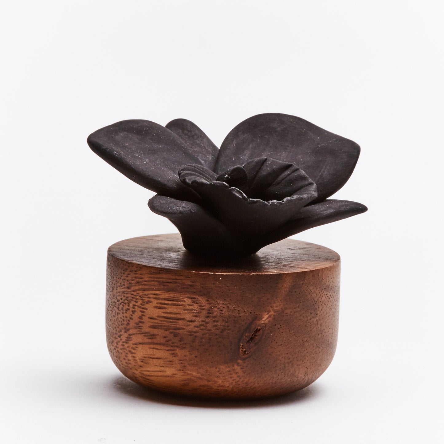 Orchid Sculpture Black