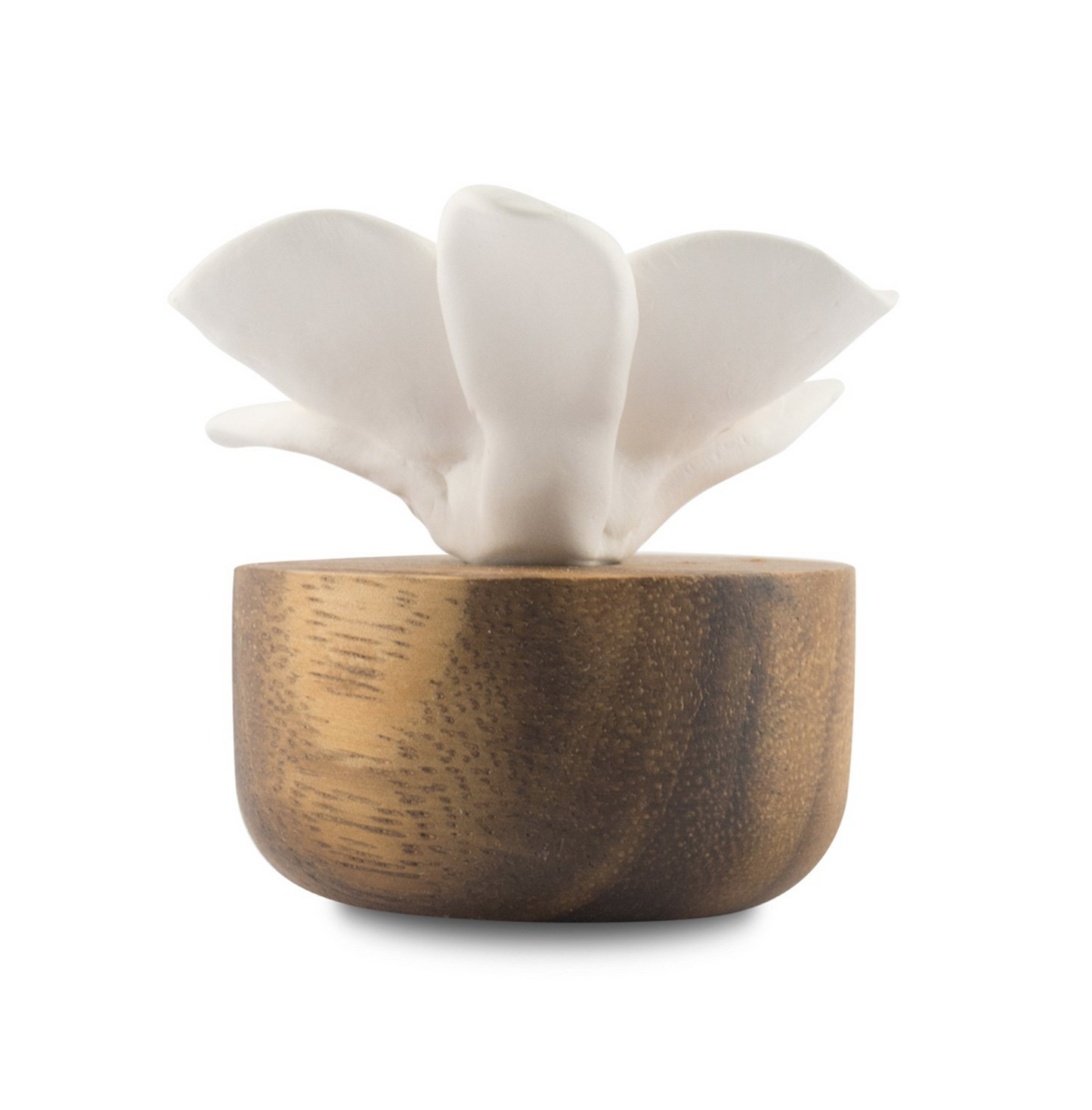 Orchid Sculpture