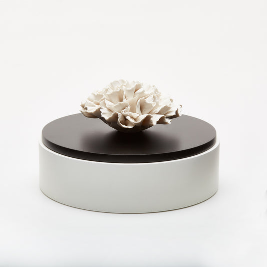IWA Wooden Box