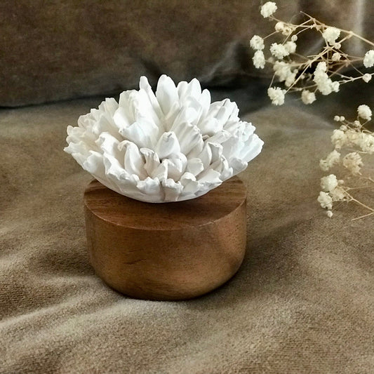 Oeillet Sculpture