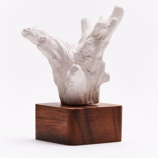 Kino Sculpture
